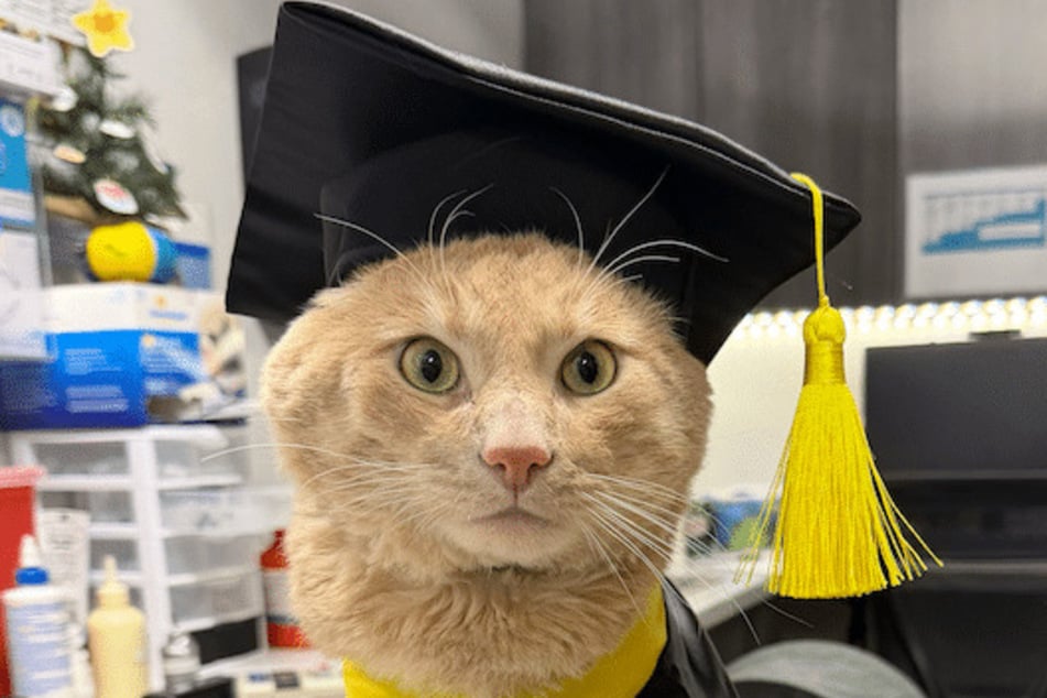 Mit Kappe, Umhang, Snacks und viel Aufmerksamkeit feierte Kyle das Ende seiner langen Isolation.