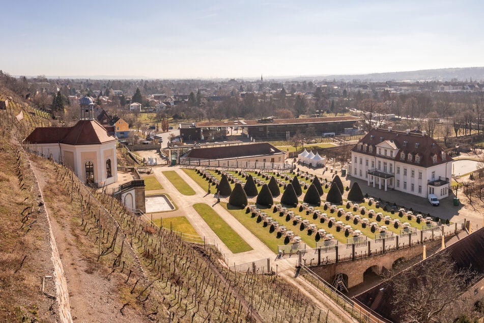Der Bacchus ist in der Flasche, nun muss der Wein nur noch den Füllstress sacken lassen.