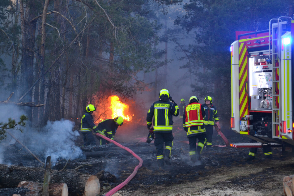 Im Wald nahe Lohsa kam es aus bisher ungeklärter Ursache zu einem Feuer. Die Trockenheit sorgt derzeit in Sachsen für eine sehr hohe Waldbrandgefahr.