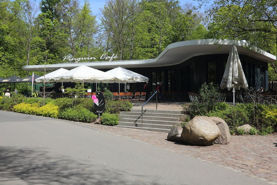 Das "Pinguin Café" wird ab Herbst 2027 gemütlicher gemacht.