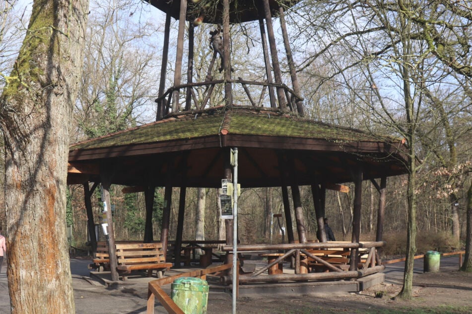 Bei dem Wald, in dem die Leiche gefunden wurde, handelt es sich um ein beliebtes Naherholungsgebiet.