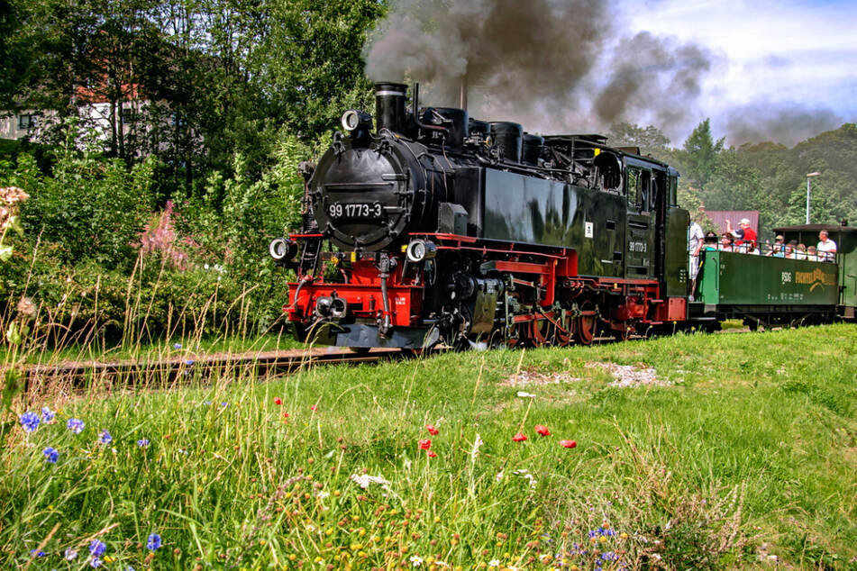 Fahrgast-Boom bei Dampfeisenbahnen in Sachsen: Das ist der Grund