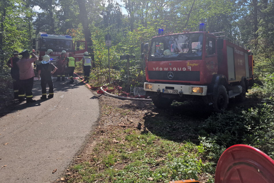 Ein Waldbrand sorgte am Mittwochnachmittag für einen Großeinsatz der Feuerwehr in der Gemeinde Lossatal.