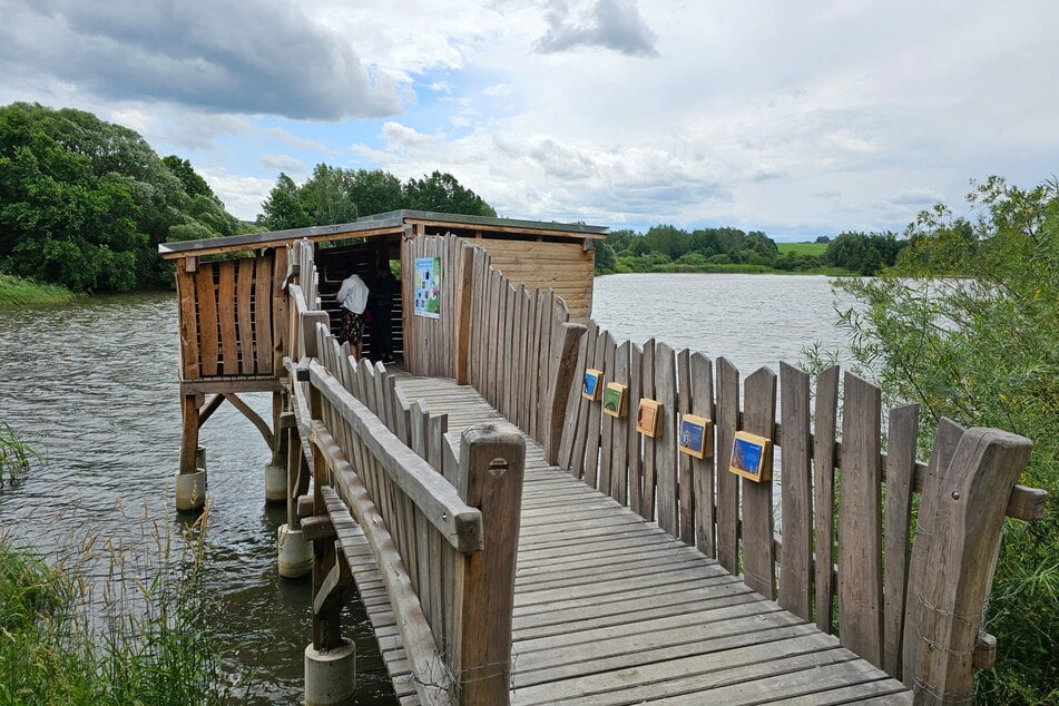 Die Beobachtungsplattform wurde mit Schautafeln zur Vogelwelt am Großen Teich in Limbach-Oberfrohna ausgestattet.