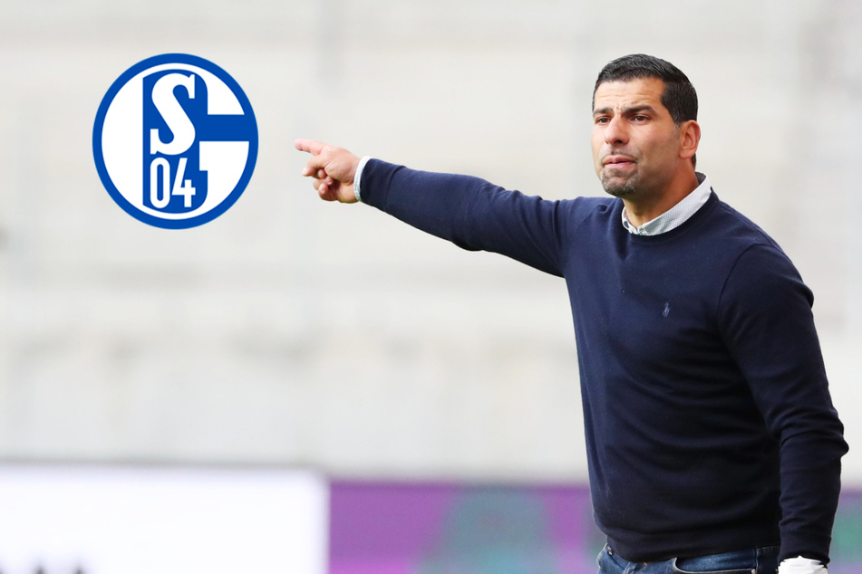 Fix: FC Schalke 04 holt Dimitrios Grammozis als neuen Trainer!