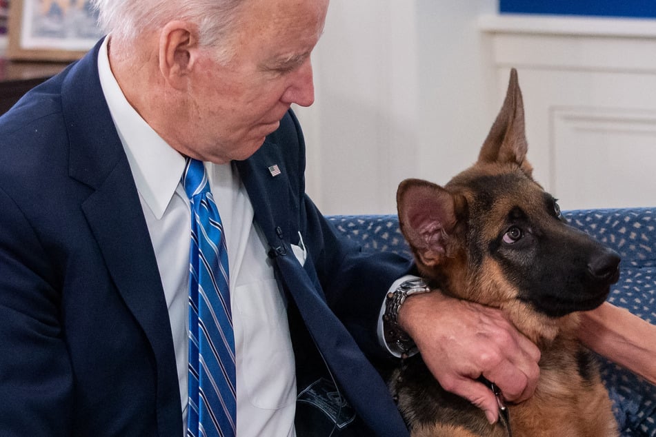 Joe Biden (80) mit seinem Hund Commander. (Archivbild)