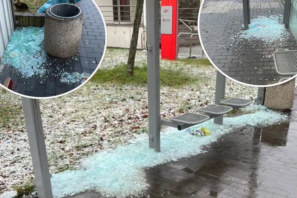 Vandalen ziehen durch sächsische Kleinstadt: Stadt lobt Belohnung für Hinweise aus