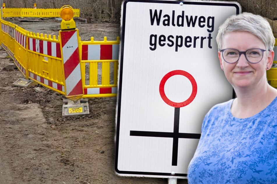 Nicht wegen maroder Bäume! Deshalb sind im Auwald Wege gesperrt