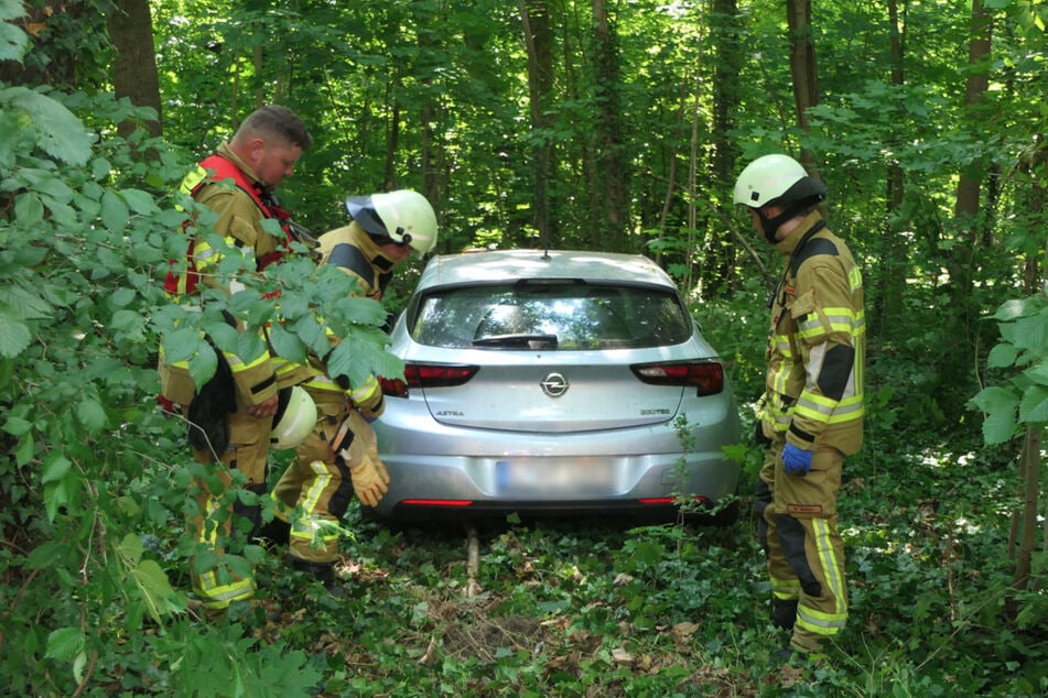 Die Insassen des Fahrzeuges mussten die Feuerwehr rufen, weil sie durch die dichte Vegetation nicht mehr aussteigen konnten.