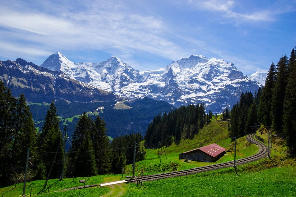 Ganz allein in den Bergen: Wie Samtpfote Heidi allein in der Wildnis überlebte, bleibt wohl ihr Geheimnis. (Symbolbild)