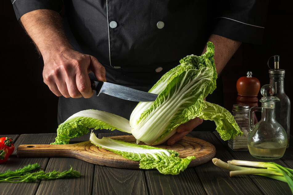 Napa-Kohl, auch Chinakohl genannt, ist der Hauptbestandteil von Kimchi.