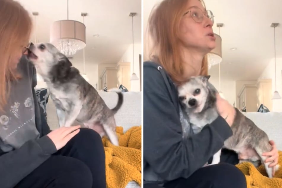 Girl drives 18 hours to surprise elderly childhood dog with reunion!