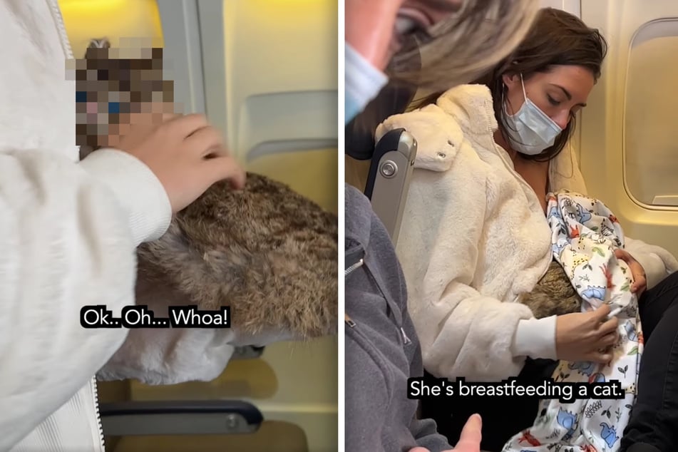 Frau stillt Katze im Flugzeug! Irres Video wird zum Internet-Hit, aber ist das echt?