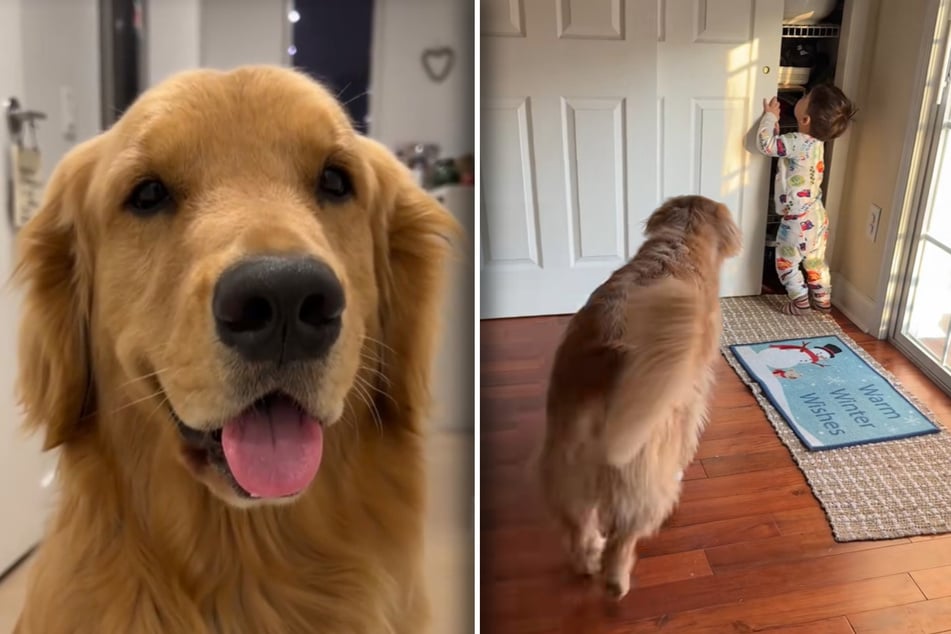 As evidenced by a new viral video, Hudson the Golden Retriever and his little human brother make an awww-some team!