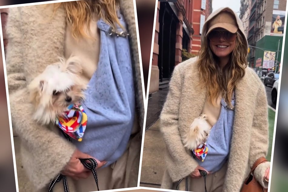 Hund Fritz ist das neuste Mitglied in der Familie von Model Heidi Klum (52).