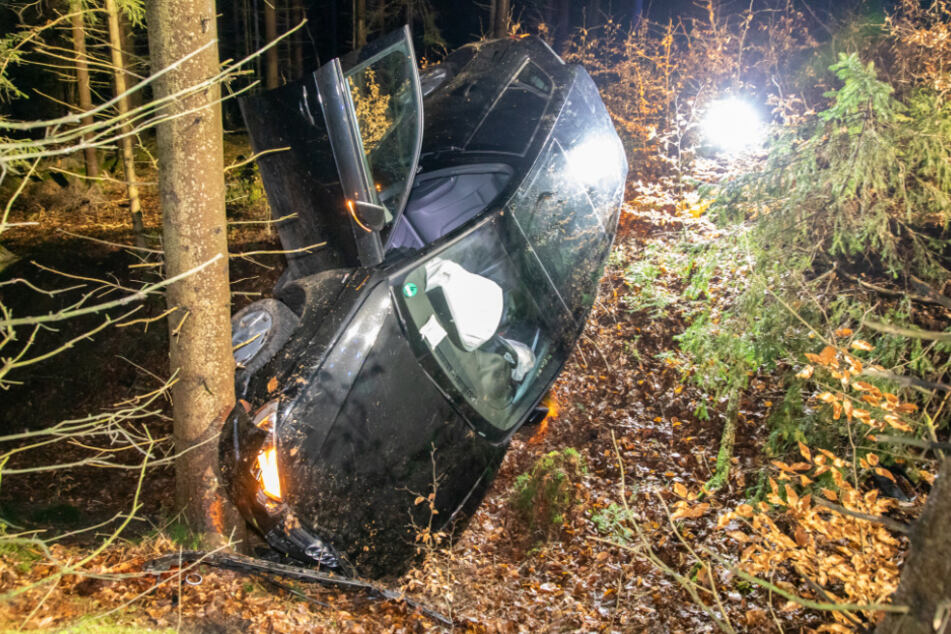 Glück im Unglück: Der Audi kracht mit dem Unterboden zuerst an den Baum.