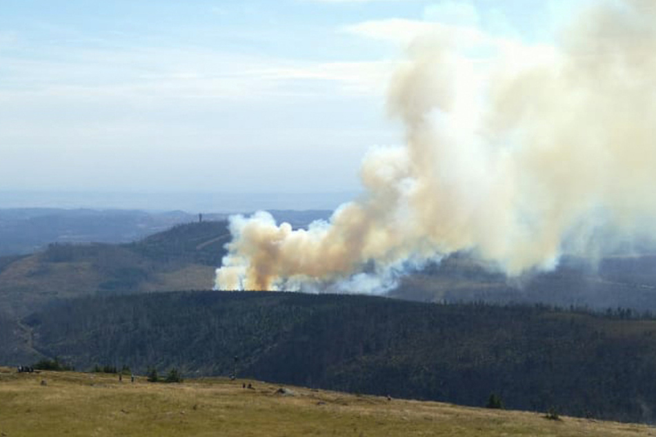 Schon wieder Waldbrand im Harz: Brocken wird evakuiert