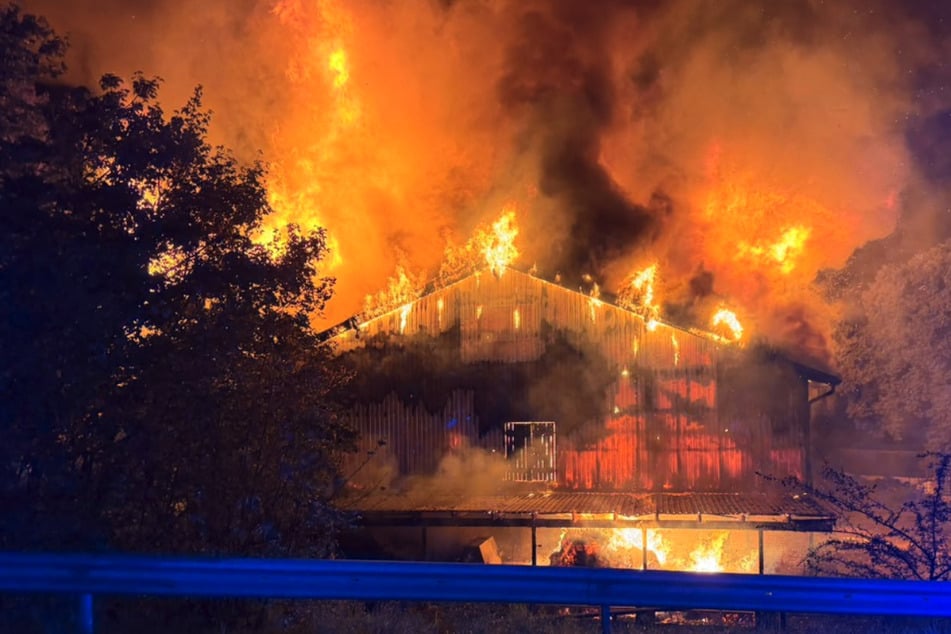 Verheerendes Feuer in Stallgebäude: Dutzende Kälber verbrannt, Feuerwehrkräfte verletzt