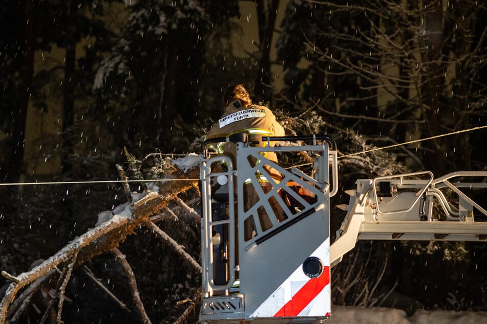 Umstürzende Bäume gefährden Spaziergänger.