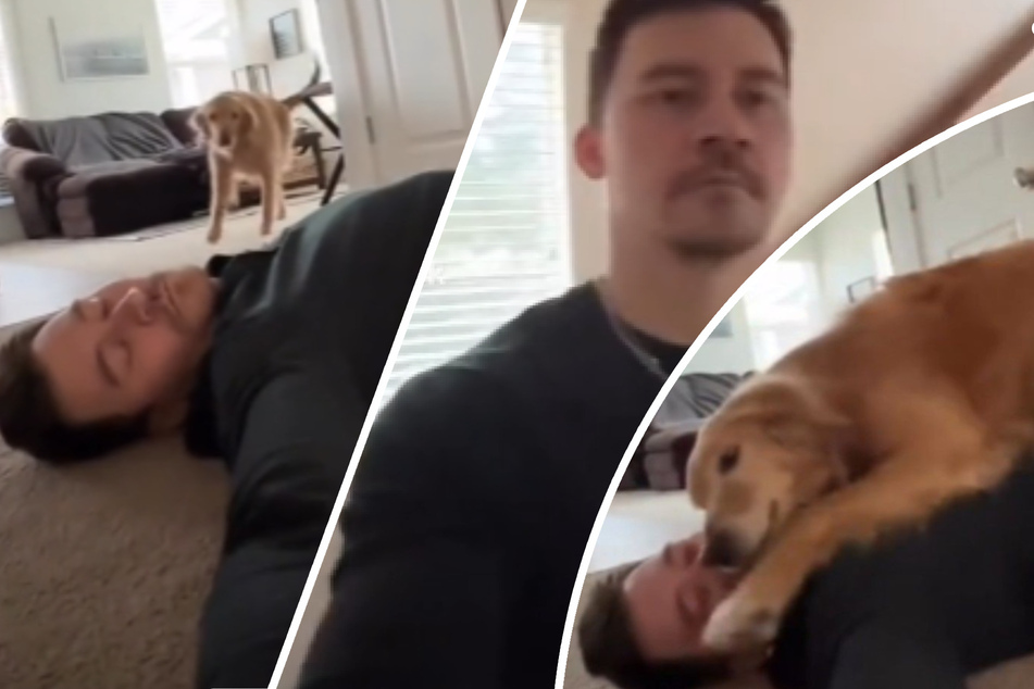 Golden retriever knows exactly what her human needs after a long workday!