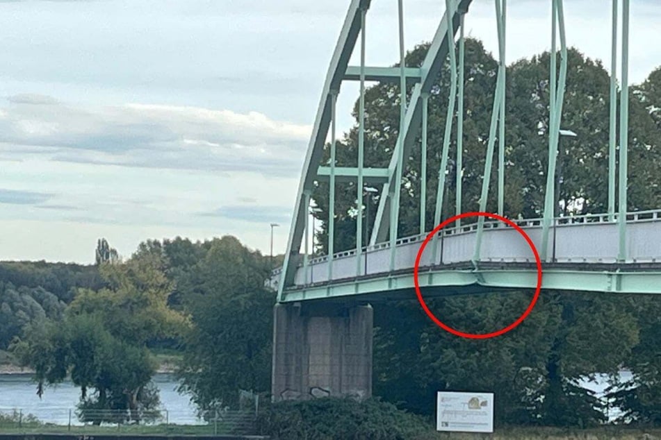 Das Schiff hatte die Niehler Hafenbrücke bei dem Zusammenstoß schwer beschädigt.