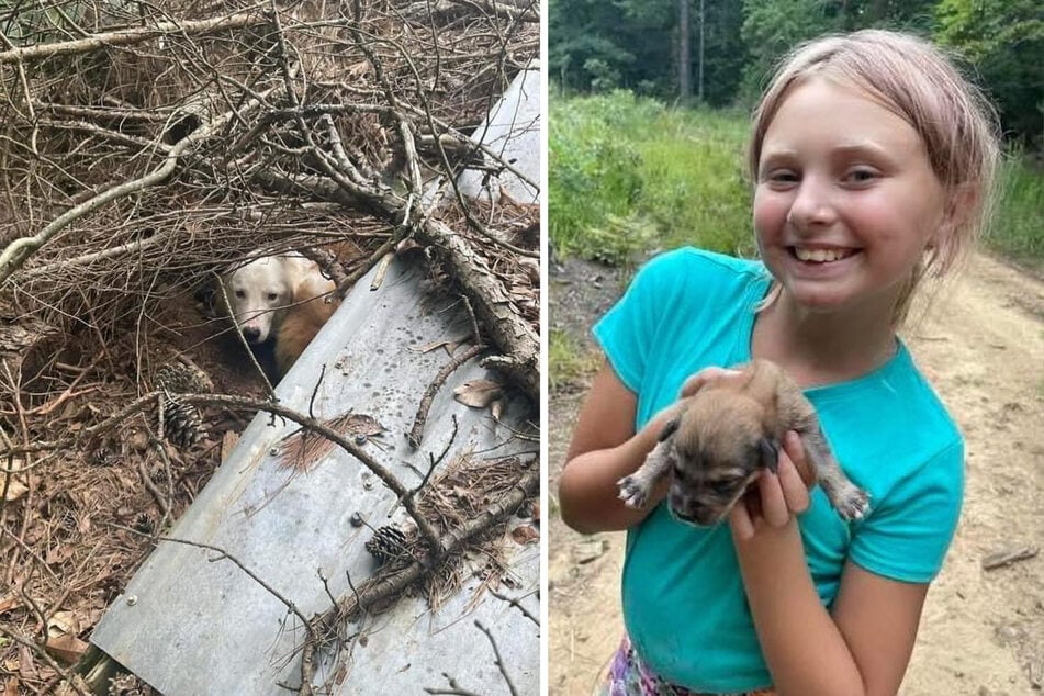 Little Autumn knew immediately that she had to help when she discovered the dog mom.