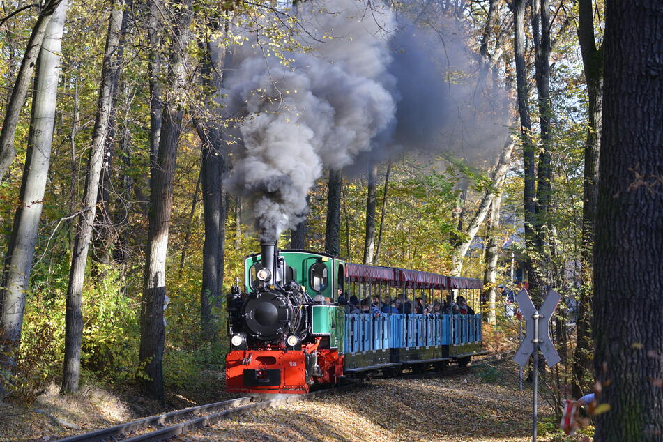 Die Dampflokomotive "Riesa" drehte am Sonntag für diese Saison ihre letzte Runde.