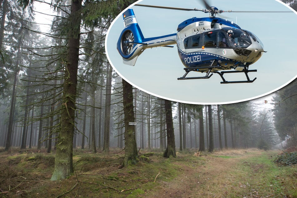 Seniorin vier Nächte unter Baum eingeklemmt: "Vermutlich hatte sie Pilze gesucht"