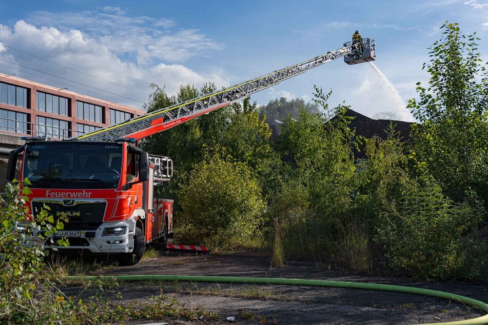 Lagerhalle mutwillig in Brand gesetzt: Massive Rauchwolke über Köln