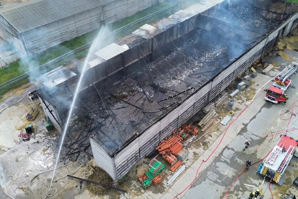 Etwa 100 Kälber sind bei dem Feuer verstorben.