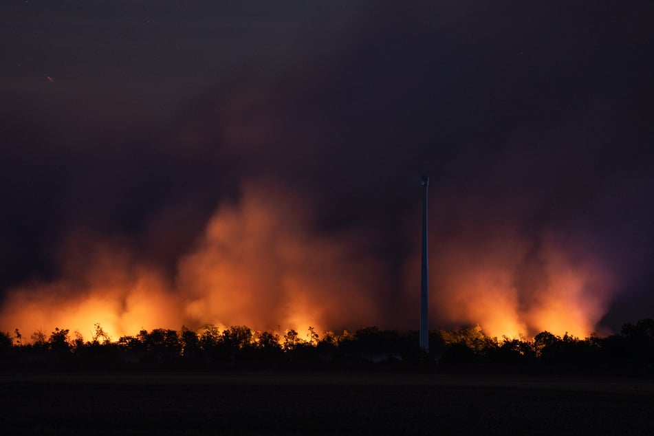 Anfang Juli stand die Gohrischheide in Flammen.
