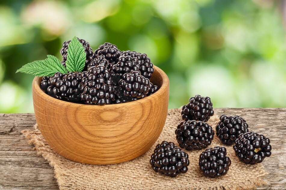 Fresh blackberries are easy to make into a homemade jam.