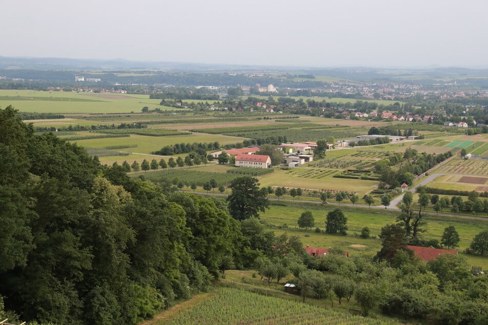 Dieser Ausblick könnte schon bald von 32 Hektar Kiesabbau geprägt werden.