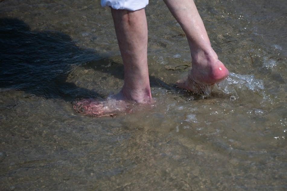 Vibrionen-Alarm in der Ostsee! Bakterien breiten sich in Badewasser aus