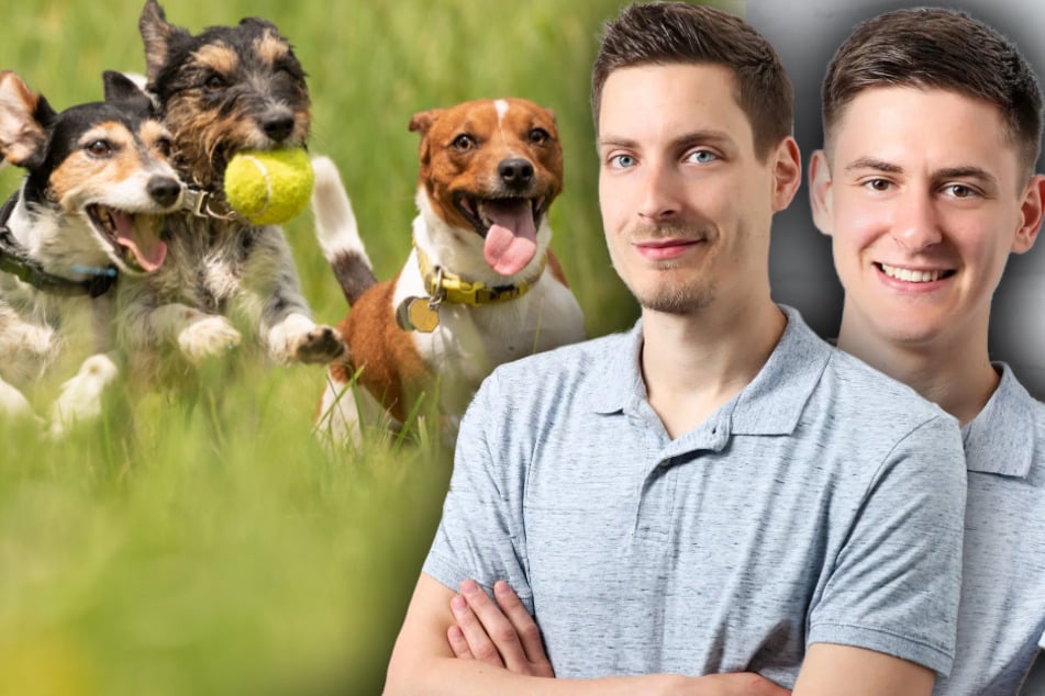 Durchfall, Erbrechen, Infusionen: Wie eine Leipziger App ein Hundeleben gerettet hat