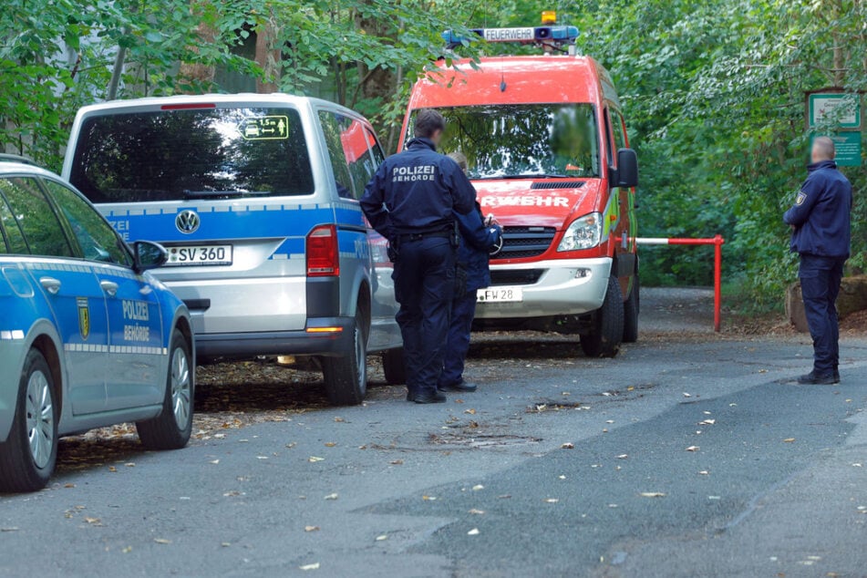 Chemnitz: Erneuter Einsatz im Ebersdorfer Wald in Chemnitz: Was ist hier los?