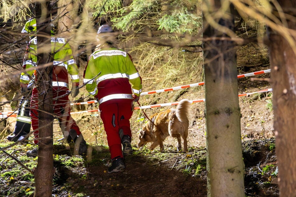 Suchhunde waren im angrenzenden Wald unterwegs - doch bislang konnte der Mann nicht gefunden werden.