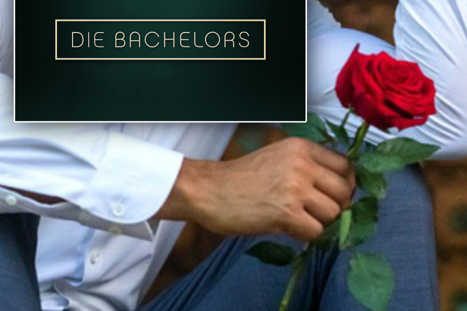 Bachelor: "Der Bachelor"-Sensation! Gleich zwei Rosenverteiler gehen 2024 auf Liebessuche – zusammen