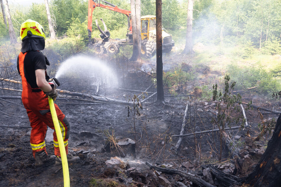 Waldbrand im Ilm-Kreis: Feuerwehr löscht 200 Quadratmeter