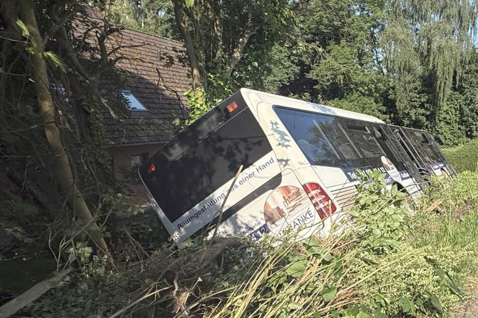 Linienbus verunglückt: Fahrer schwer verletzt
