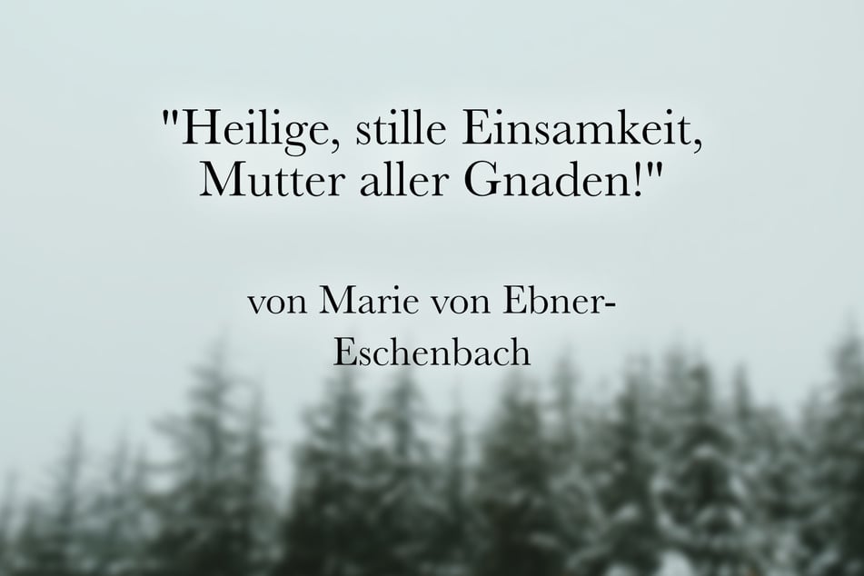 Zum einsamen Weihnachtsfest pass dieses Zitat von Marie von Ebner-Eschenbach.