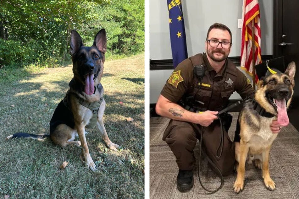 Der Schäferhund und sein Partner fanden die vermissten Kinder auf den Wanderwegen des "Hoosier National Forest".