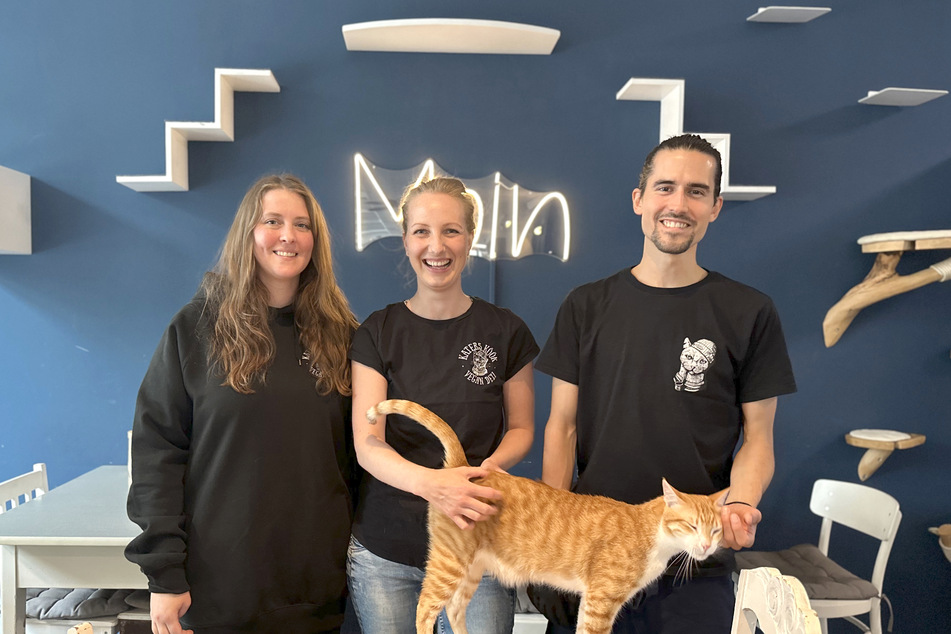 Sandra (l.), Lani (M.) und Sören (r.) sind das dreiköpfige Führungsteam des veganen Katzencafés "Katers Köök" in Hamburg. Mit auf dem Bild: Kater Rebell.
