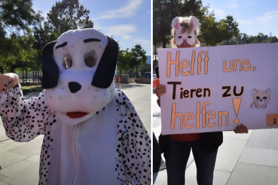 Im Hundekostüm und mit einer Katzenmaske fordern die Demonstranten Unterstützung für das Berliner Tierheim.
