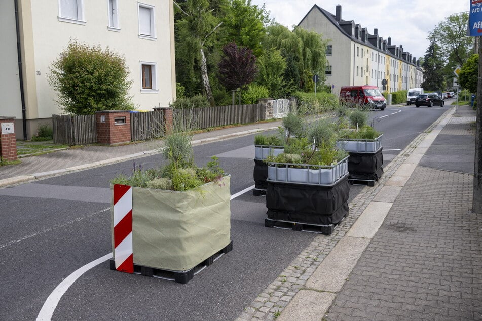 Für 16.500 Euro hatte die Stadt für den Verkehrsversuch in der Schönauer Bahnstraße neun Pflanzkübel angeschafft.