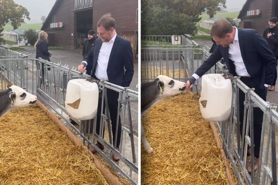 Für Sachsens Landeschef Michael Kretschmer (50, CDU) stand ein tierischer Termin auf dem Programm.