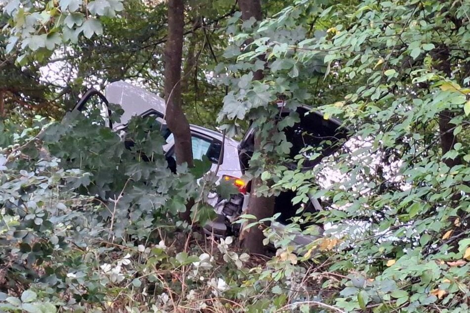 Der Audi landete mit Fahrer in einer Böschung.