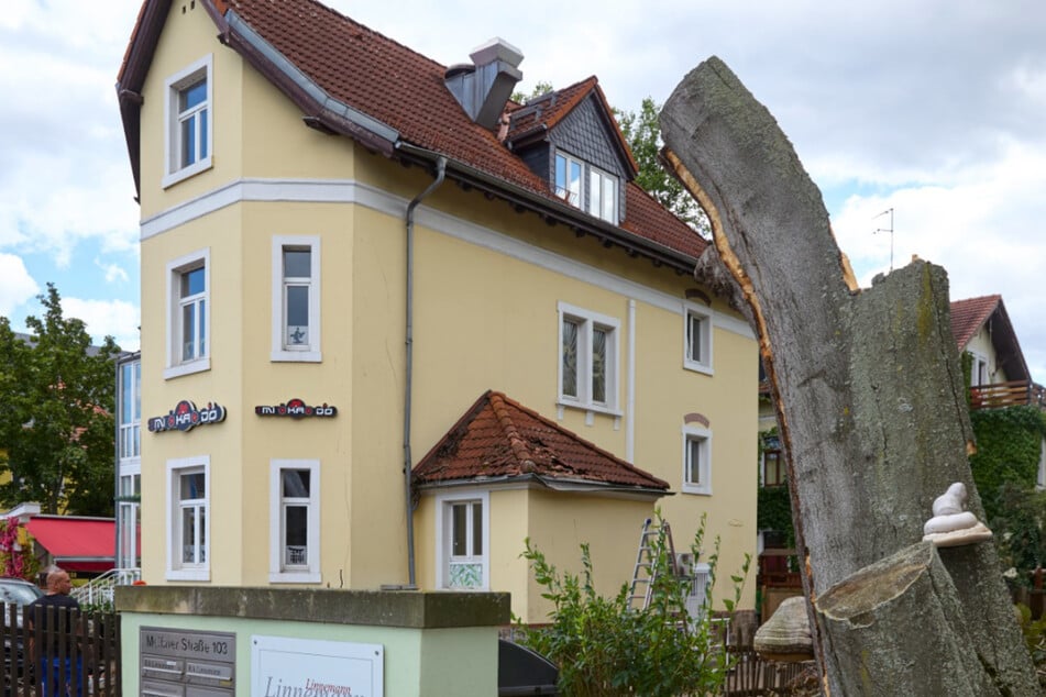 Viel ist vom abgeknickten Baum nicht übrig geblieben.