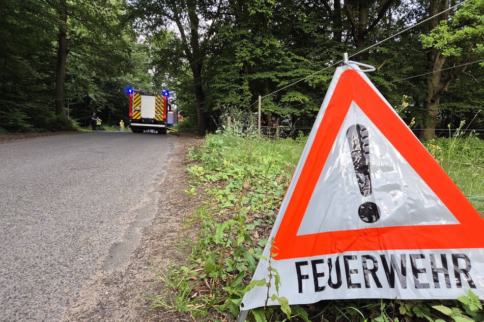 Neue Hitzewelle steht bevor: Experten warnen vor Waldbrandgefahr in Sachsen