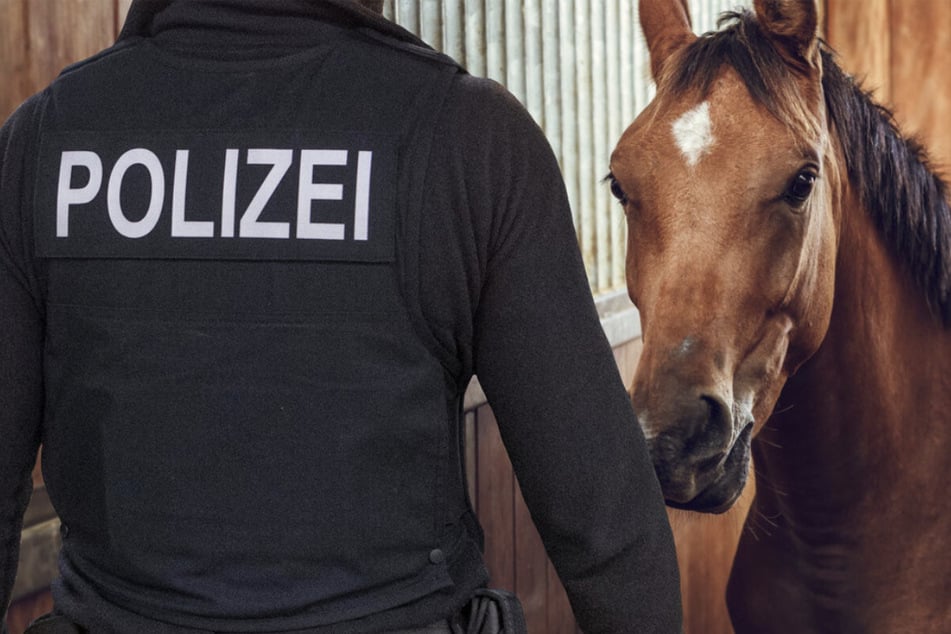 Die Polizei ermittelt nach den beiden Attacken. Die Spurensuche gestaltete sich allerdings schwierig. (Symbolbild)